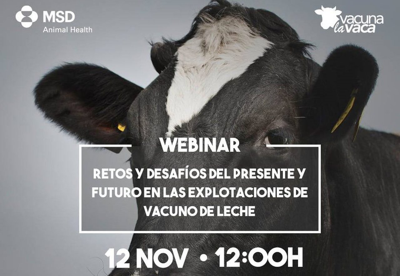 Todo listo para el segundo webinar de la serie “Rumiando los jueves” de MSD Animal Health