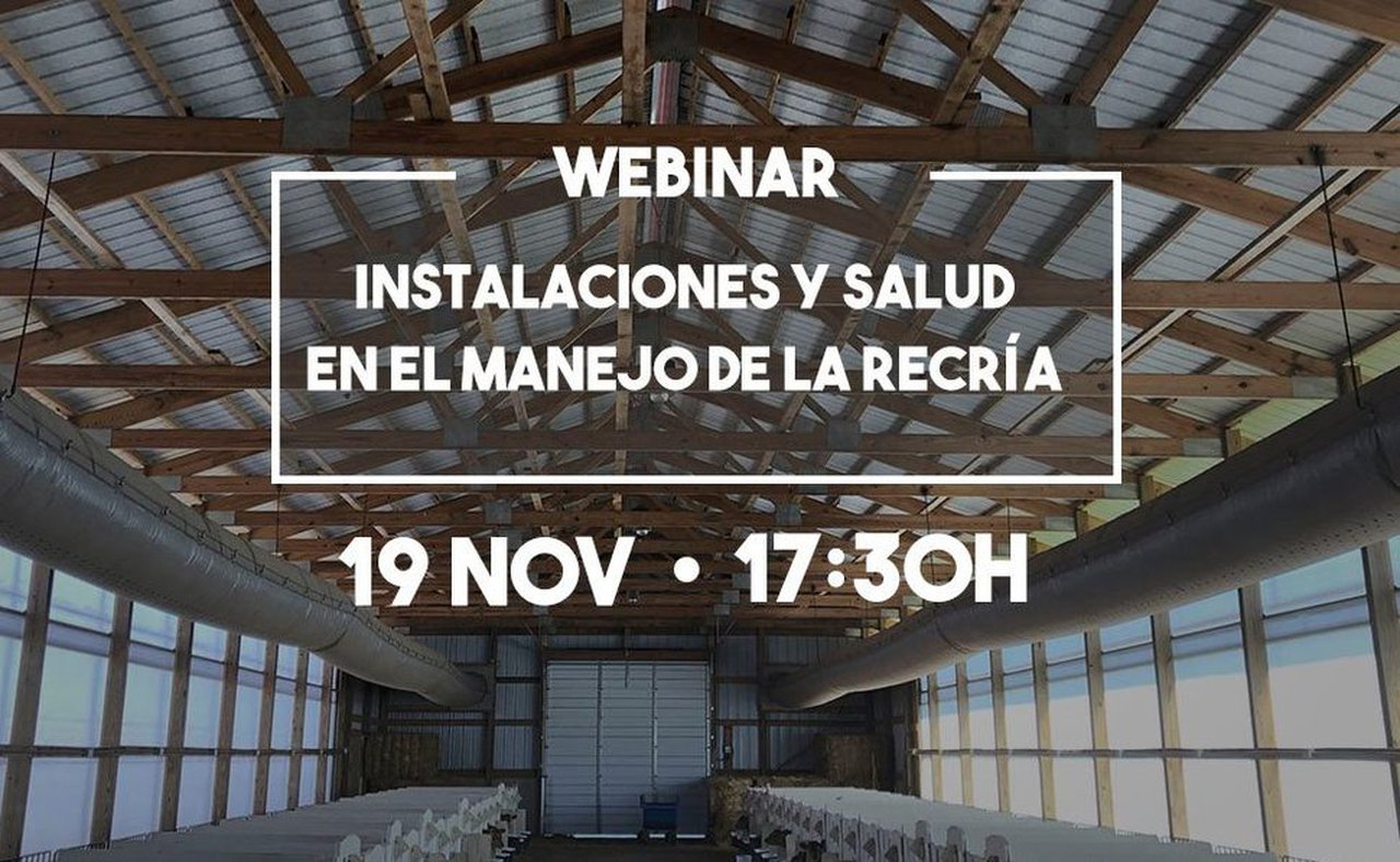 Este jueves, tercer webinario de la serie “Rumiando los jueves” de MSD Animal Health