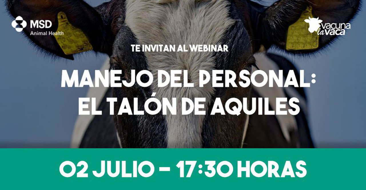 O manexo do persoal e do estrés por calor, temáticas fundamentais dos próximos webinarios de MSD Animal Health