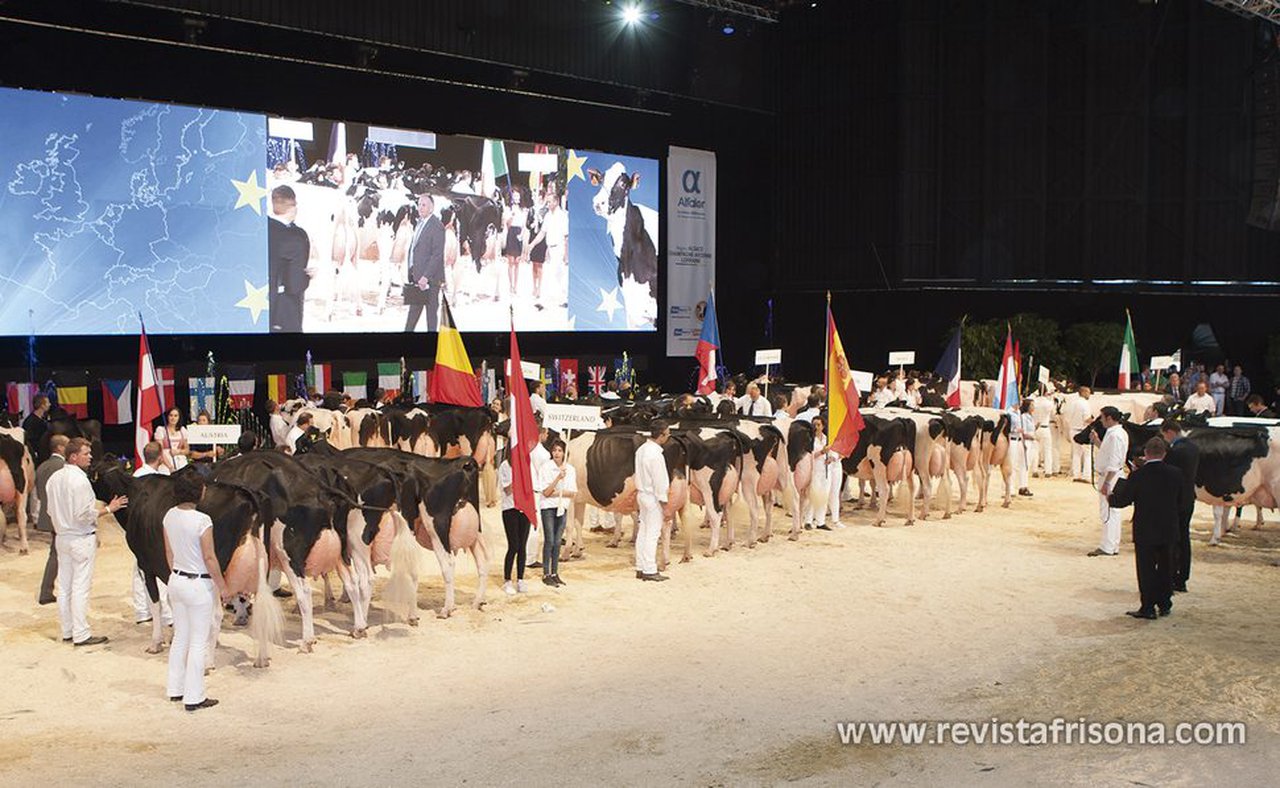 14 vacas españolas competirán en la próxima Confrontación Europea de Raza Holstein