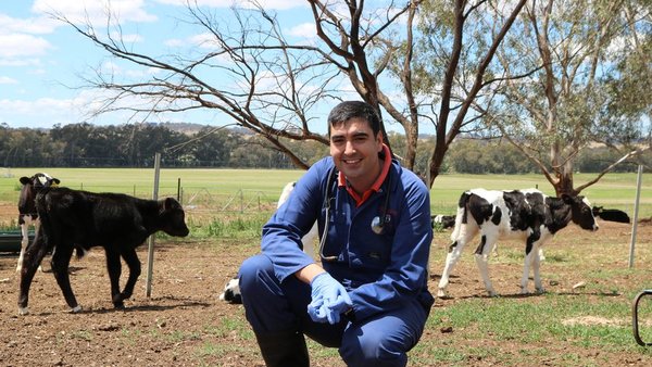 “Intentamos, mediante manipulaciones de la nutrición, identificar estrategias para mejorar la respuesta inmune”
