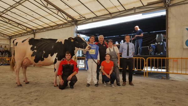 Manteiga Shottle Luna, vaca gran campeona Feiradeza 2018