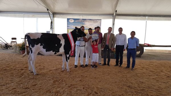 Galaxy 00782 se proclama novilla gran campeona