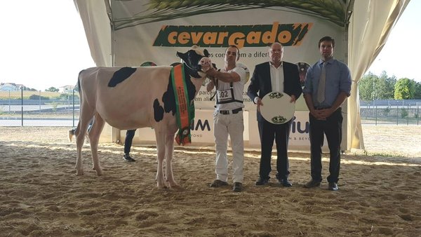 Pereira Elude Dinora gana el campeonato de terneras y novillas de la Agrosemana 2018