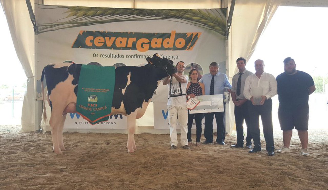 Pereira Archival M&M Camilla se proclama vaca gran campeona de la Agrosemana 2018