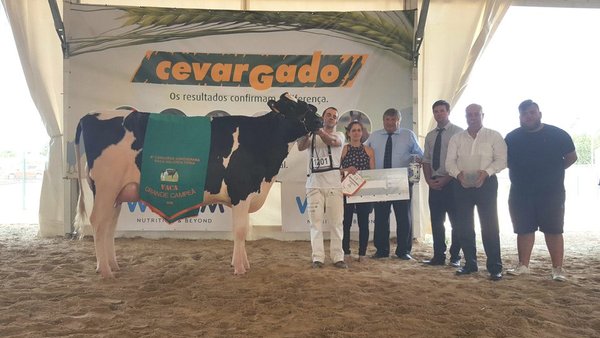 Pereira Archival M&M Camilla se proclama vaca gran campeona de la Agrosemana 2018