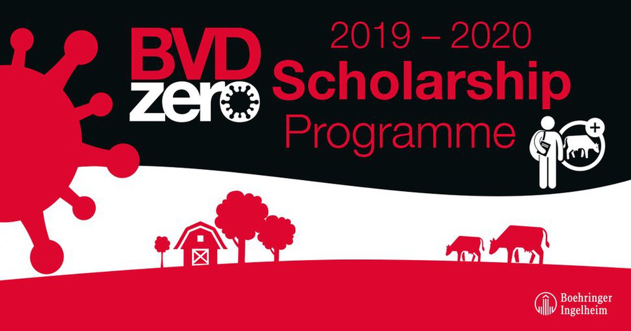 Convocadas las becas BVD Zero para estudiantes de veterinaria