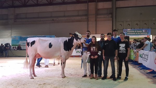 Rey 747 July High Octane, vaca gran campeona GandAgro 2019