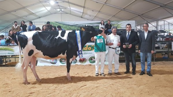 Encanto Byway 527, novilla gran campeona en el concurso de Trofa