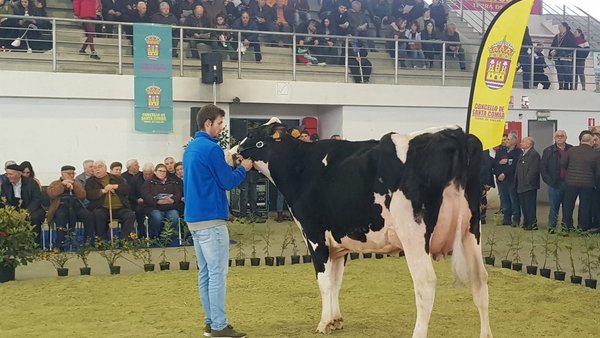 El volumen de negocio superó en Santa Comba los 31.000 €