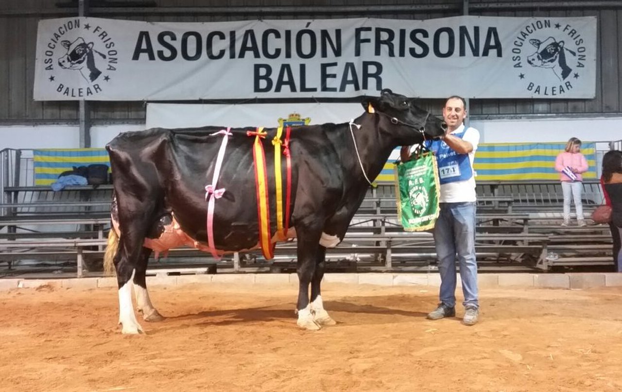 Triunfo para Binillubet Talent Fatima