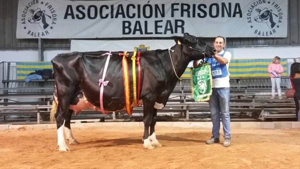 Triunfo para Binillubet Talent Fatima