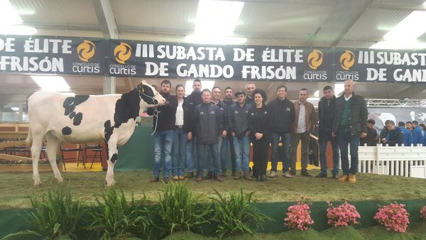 Cundins Miriam Hotline FIV ET alcanza el precio más alto en la subasta de élite de Curtis