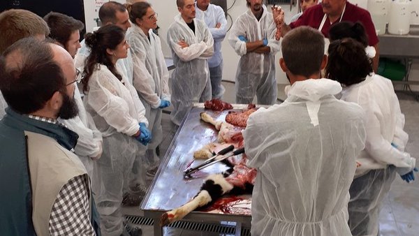 Nova edición das Xornadas Bovalto de Boehringer Ingelheim en León