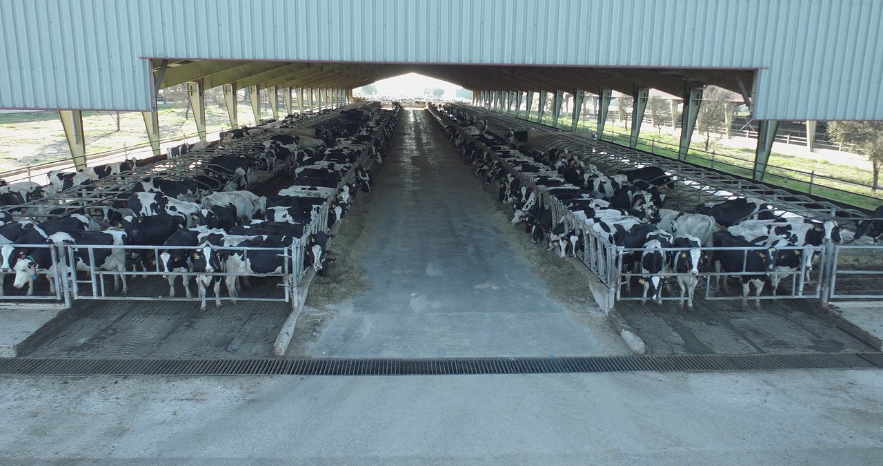 Lactalis estudiará con el CSIC reducir las emisiones de efecto invernadero de sus granjas