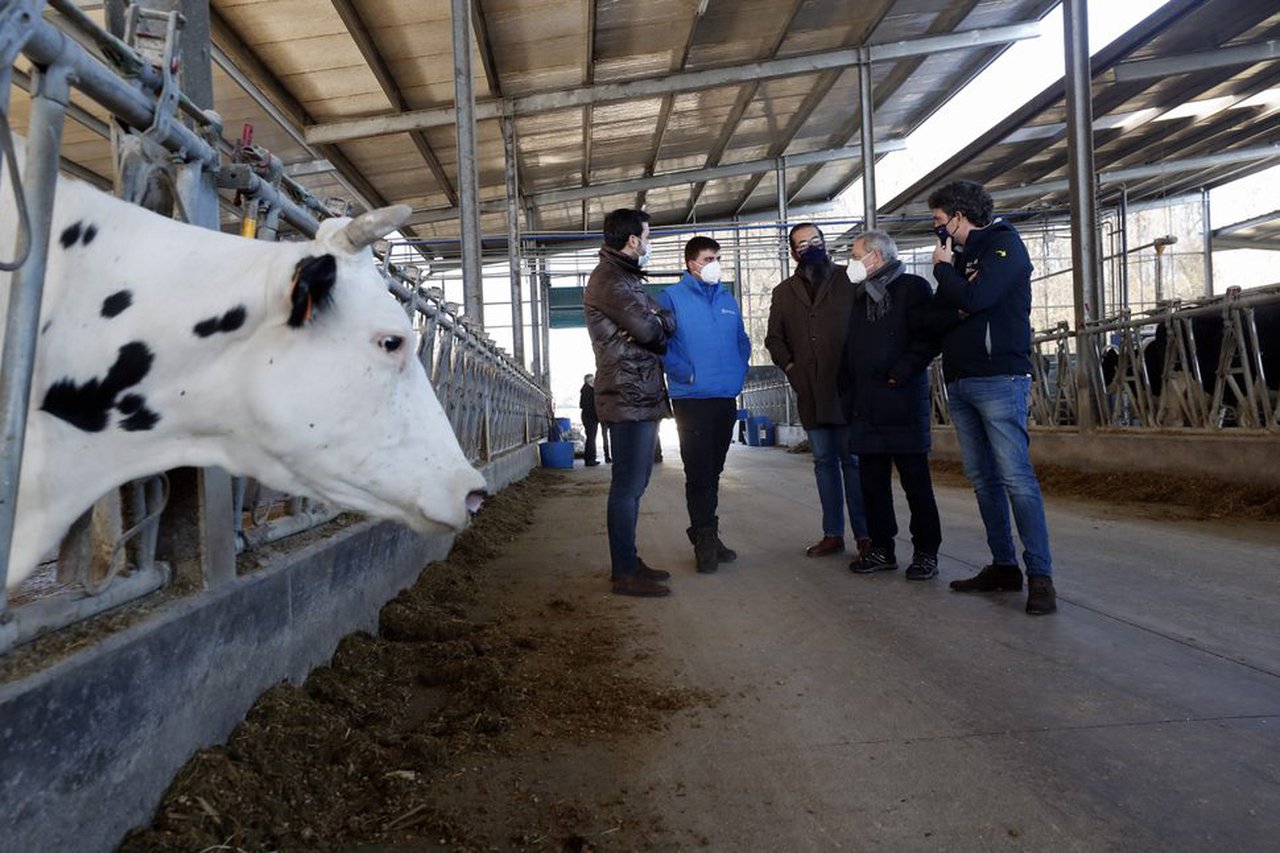 La Xunta destinará 37,5 millones de euros a las ayudas para la incorporación de jóvenes a la actividad agroganadera y para la mejora de explotaciones