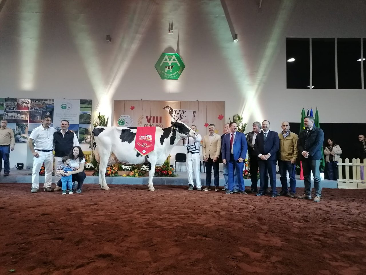 El Concurso de Otoño de Azores tiene nueva vaca gran campeona: ORP Mccutchen Maia