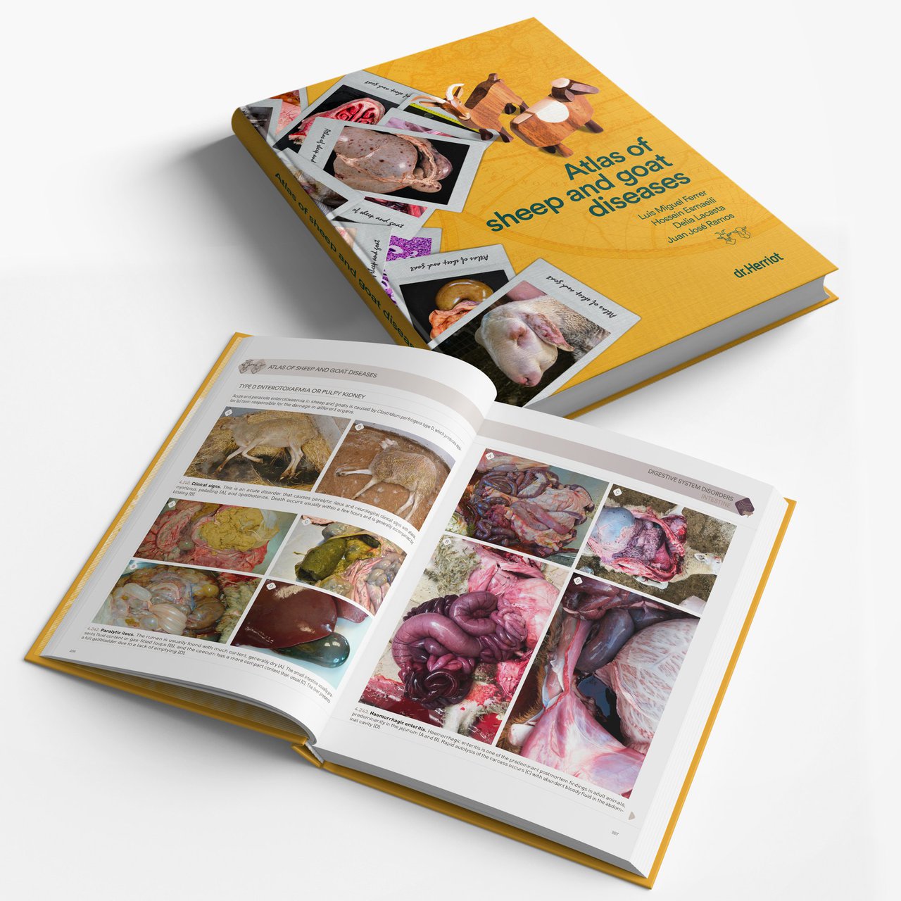 Publicado un nuevo libro sobre patología ovina y caprina