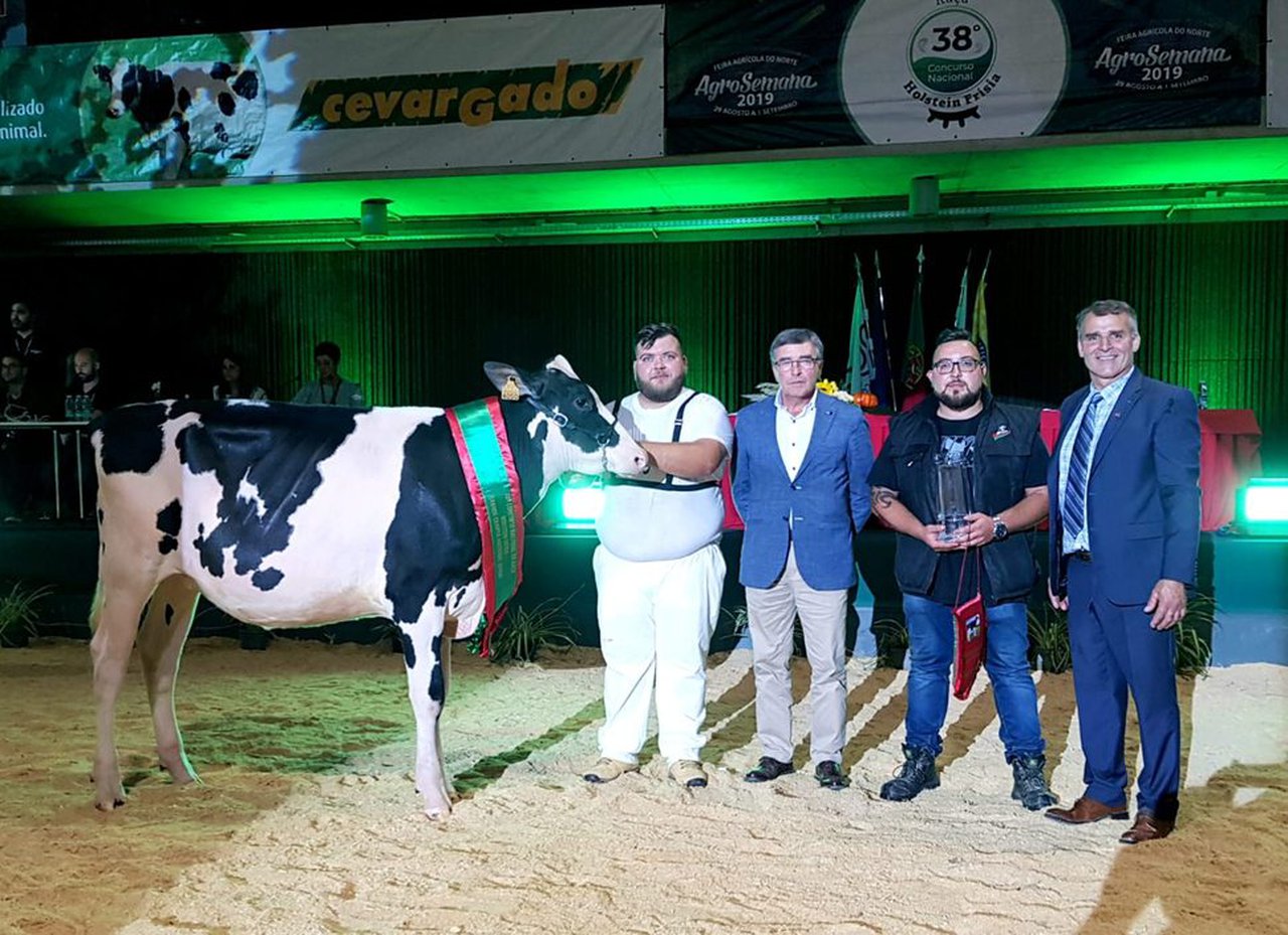 M&S Jordy Adya, gran campeona portuguesa de terneras y novillas
