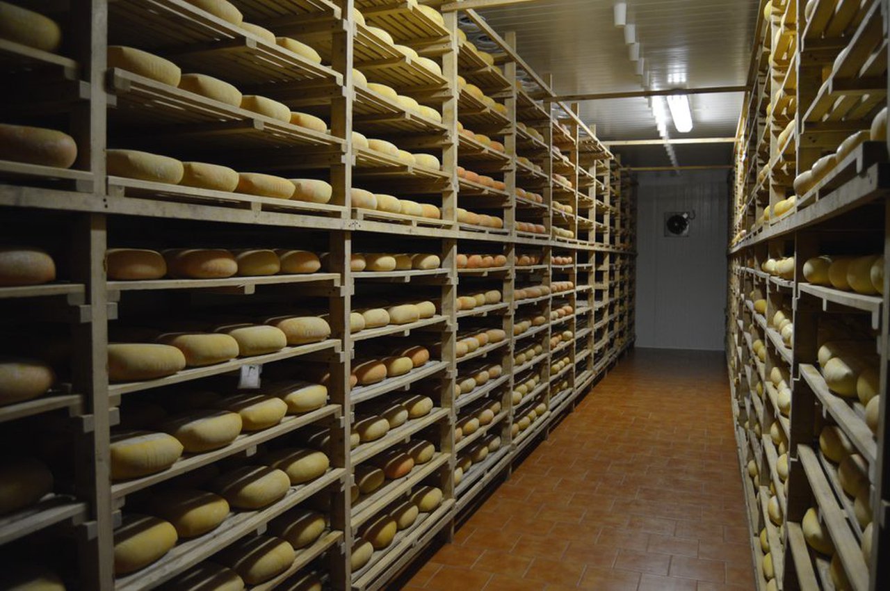 La Inlac pone en valor el trabajo de ganaderos, cooperativas e industrias en el Día Internacional del Queso