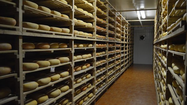 La Inlac pone en valor el trabajo de ganaderos, cooperativas e industrias en el Día Internacional del Queso