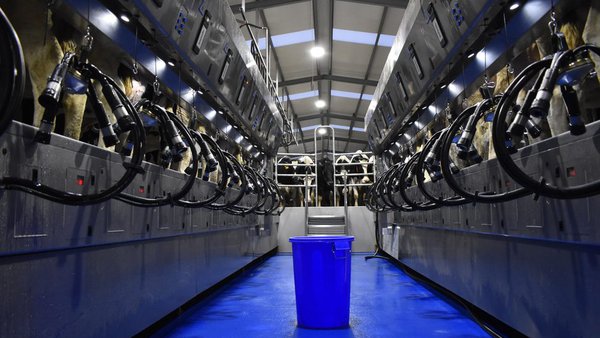 El Mapa inicia la consulta pública para modificar la ley de la cadena alimentaria