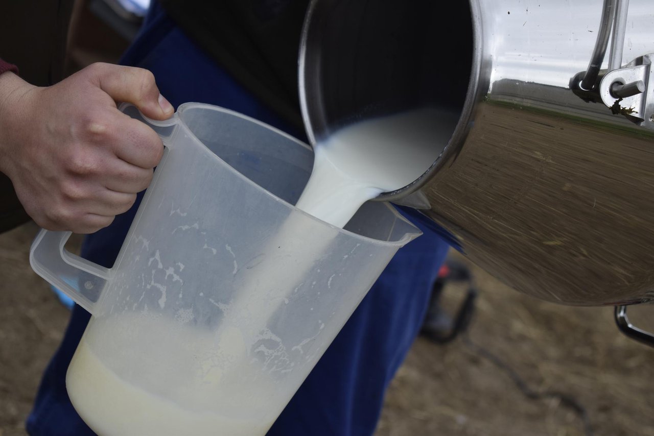 Unión de Uniones denuncia una bajada en los precios de la leche