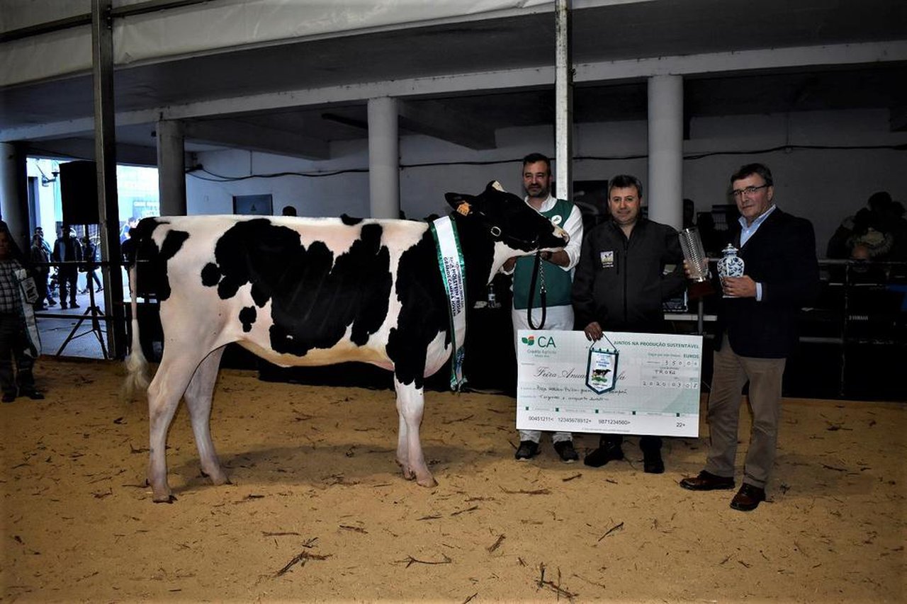 Encanto Emilio 619, novilla gran campeona en Trofa