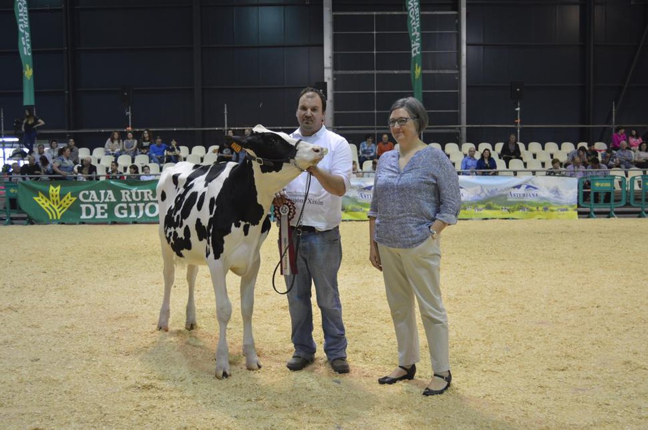 El regional asturiano ya tiene nueva ternera campeona