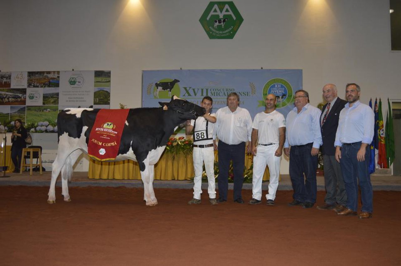 2536 Hugh Octane se proclama novilla gran campeona en San Miguel