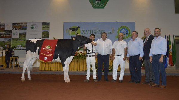 2536 Hugh Octane se proclama novilla gran campeona en San Miguel