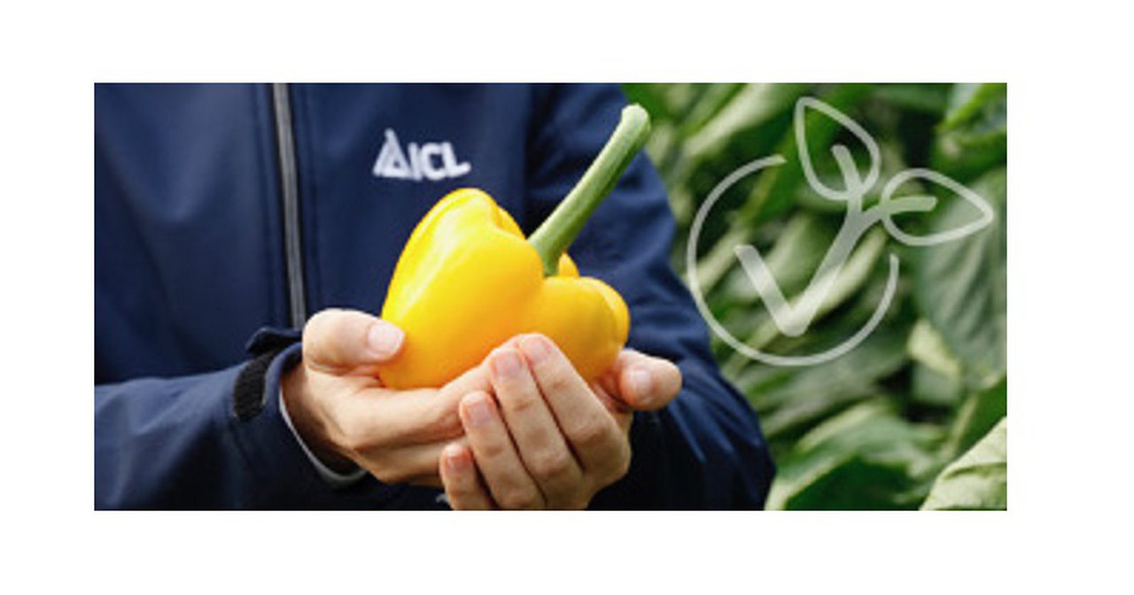 ICL lanza a campaña informativa sobre a trazabilidade dos seus fertilizantes