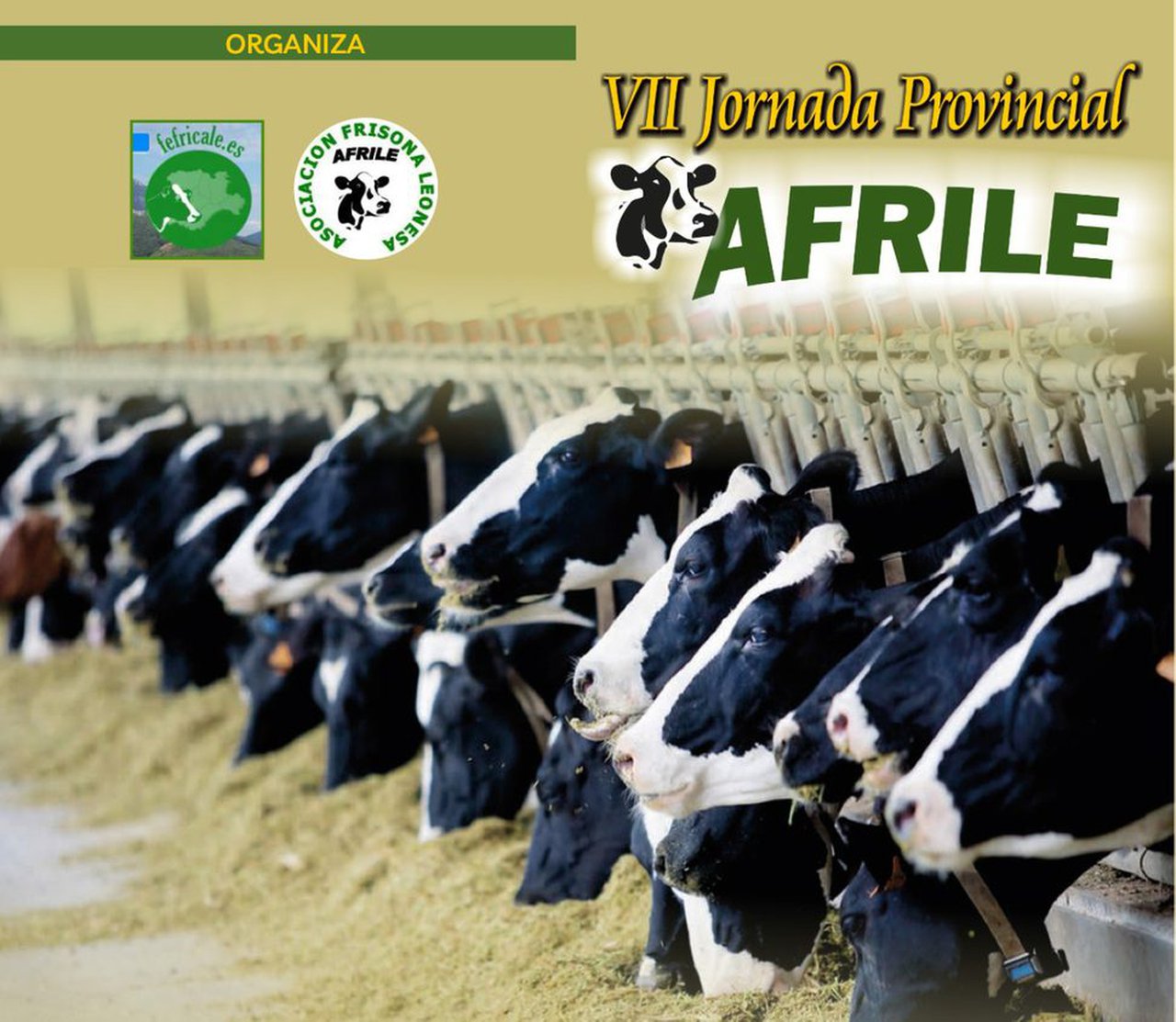 Afrile celebrará su VII Jornada Provincial este viernes