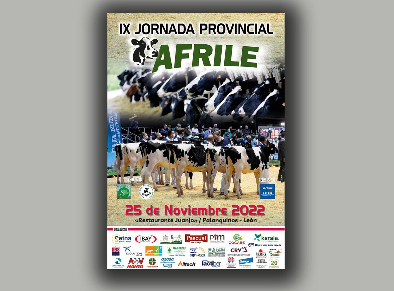 Afrile celebra su IX Jornada Provincial el 25 de noviembre