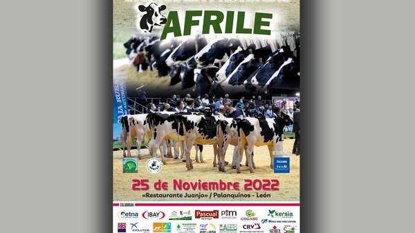 Afrile celebra su IX Jornada Provincial el 25 de noviembre