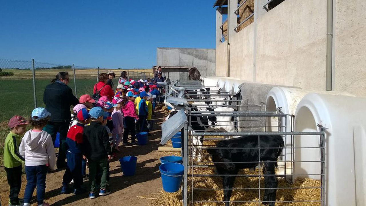 Escolares de Zamora conocen el día a día de las granjas de leche de la mano de Afriza