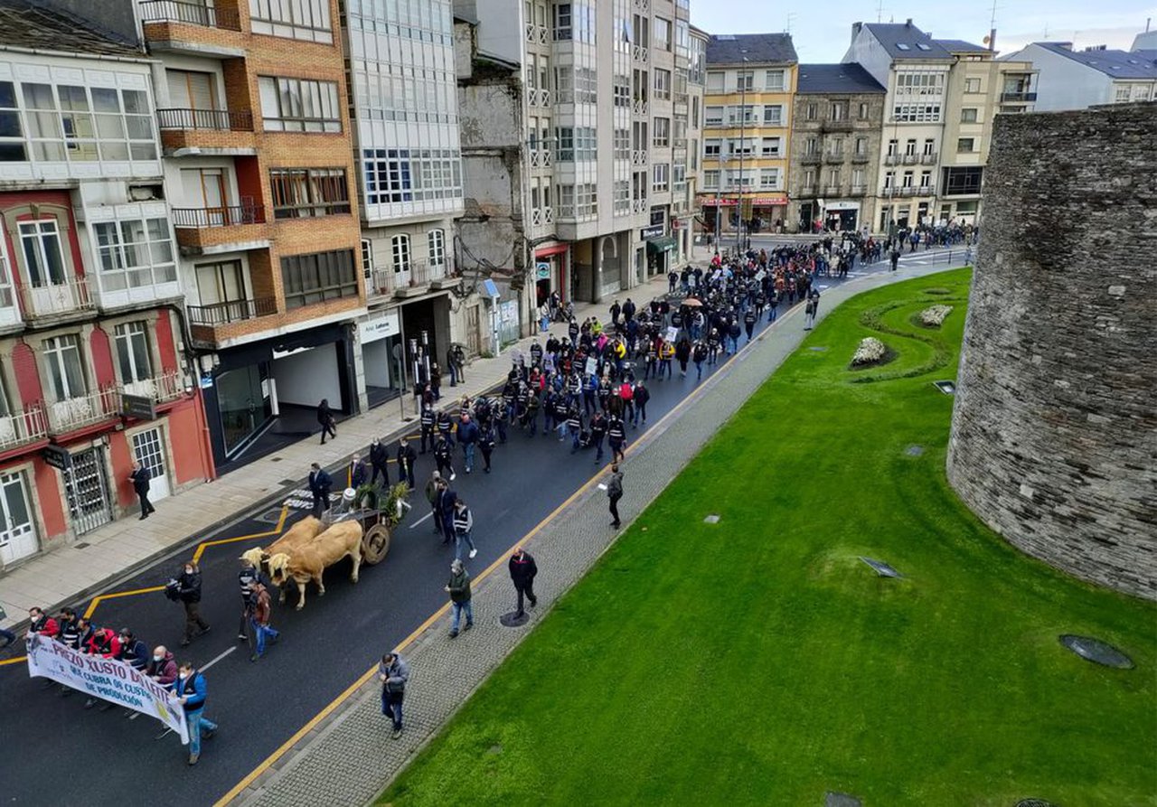 Agromuralla congrega en Lugo a más de mil productores para reclamar un precio justo por la leche que producen