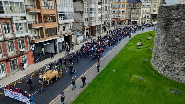 Agromuralla congrega en Lugo a más de mil productores para reclamar un precio justo por la leche que producen