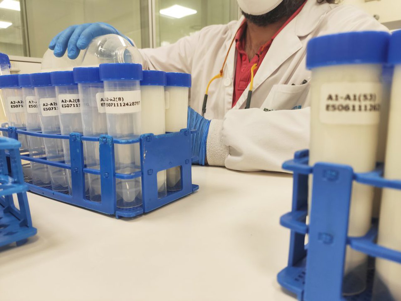 AMSlab lanza un servicio e análisis para verificar la presencia de la proteína A1 en los productos lácteos