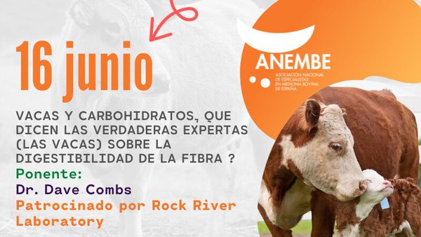 Anembe centra su nuevo seminario en la digestibilidad de la fibra