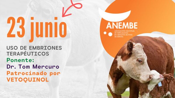 Anembe celebra mañana un webinario sobre el uso de embriones terapéuticos