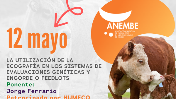 Este miércoles, webinario de Anembe sobre la ecografía en los sistemas de evaluaciones genéticas