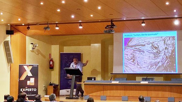 Boehringer Ingelheim estivo presente no Seminario de Anembe celebrado en Cádiz