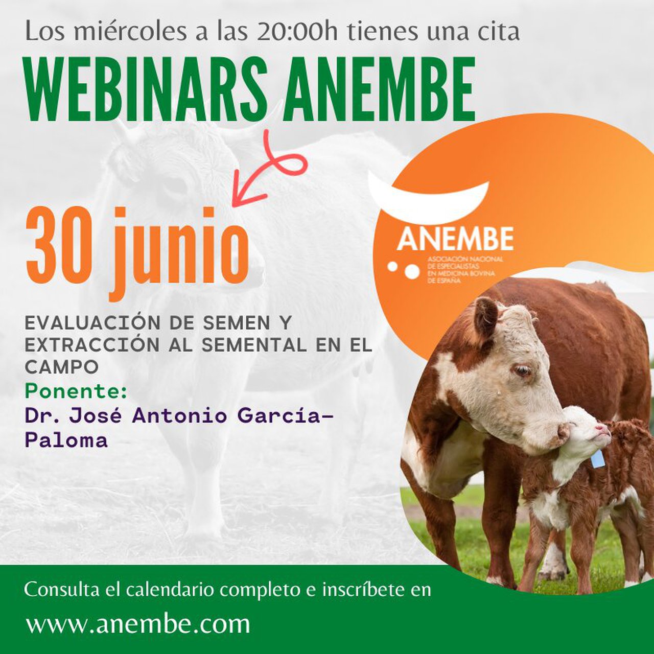 Anembe celebra hoy un webinar sobre evaluación de semen