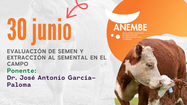 Anembe celebra hoy un webinar sobre evaluación de semen
