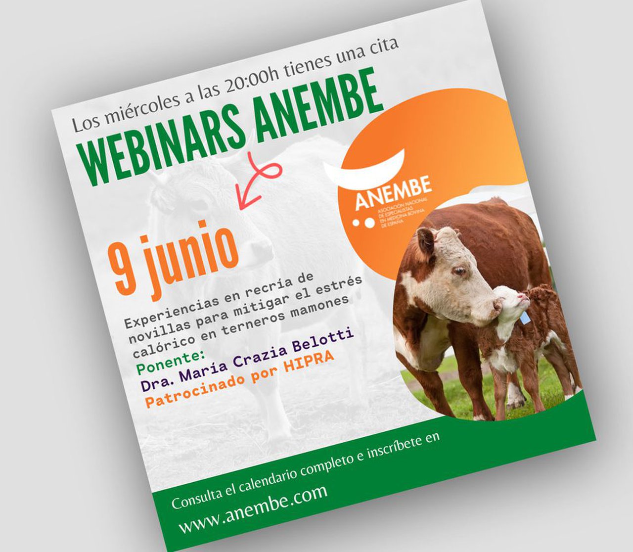 Nuevo webinario de Anembe sobre la recría de novillas para mitigar el estrés calórico