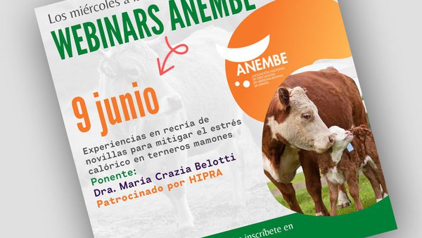 Nuevo webinario de Anembe sobre la recría de novillas para mitigar el estrés calórico