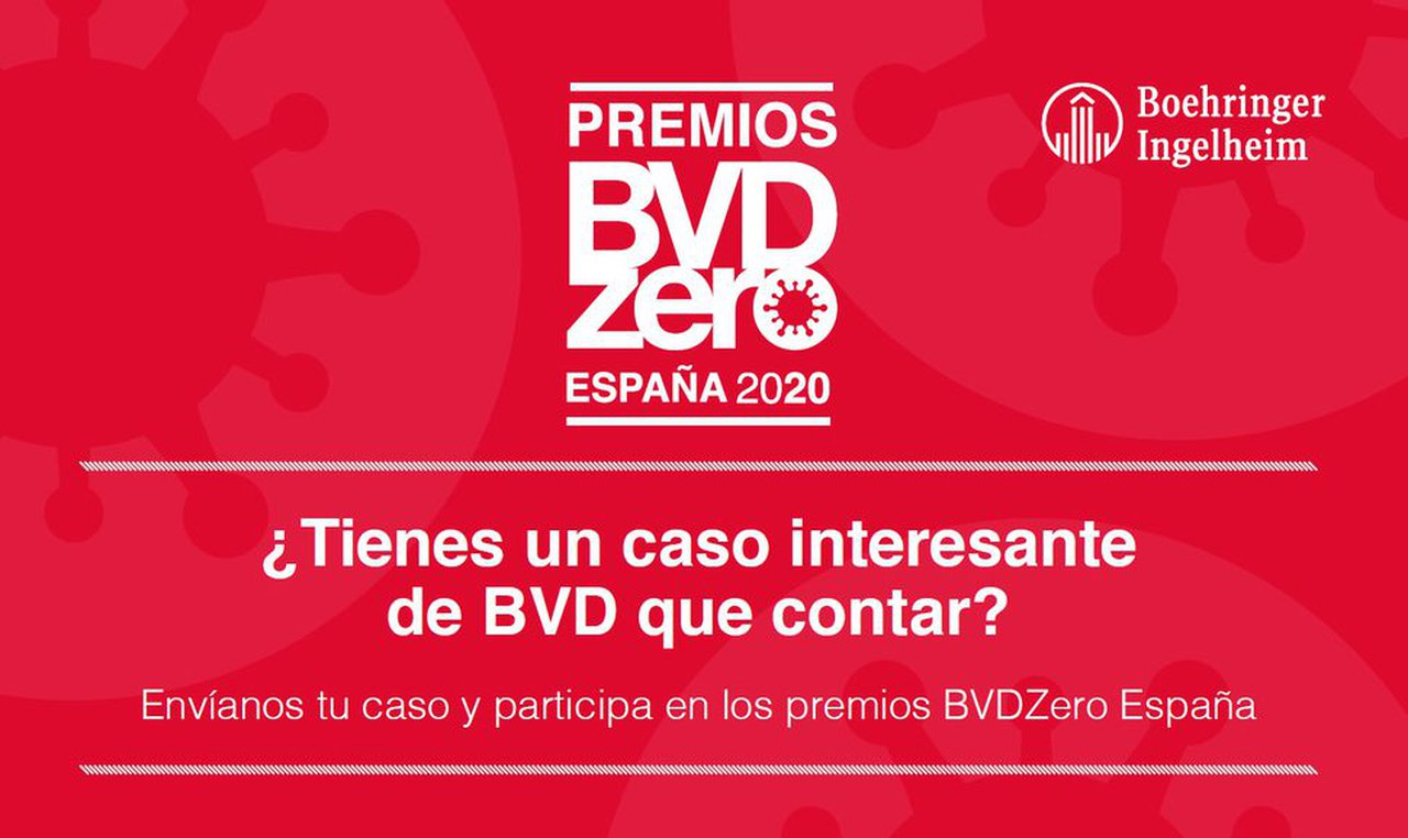 Convocados por primera vez los Premios BVDzero España