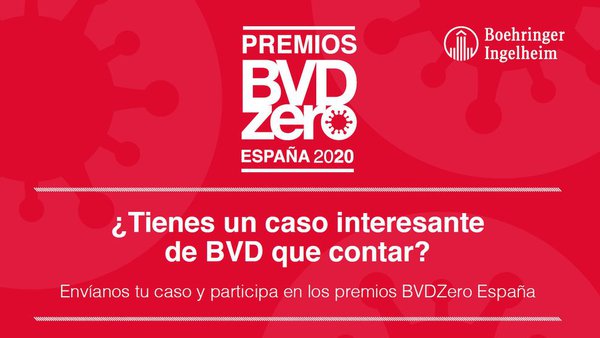 Convocados por primera vez los Premios BVDzero España