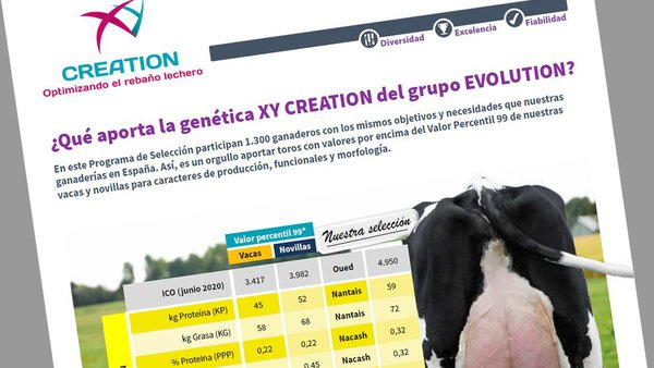 Valores da xenética XY Creation na base poboacional española